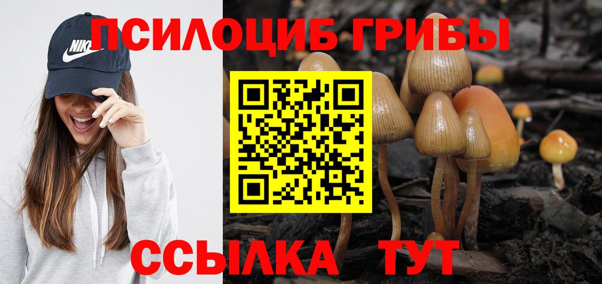 хочу   Галлюциногенные грибы MAGIC MUSHROOMS  Вход с VPN  Мегион 